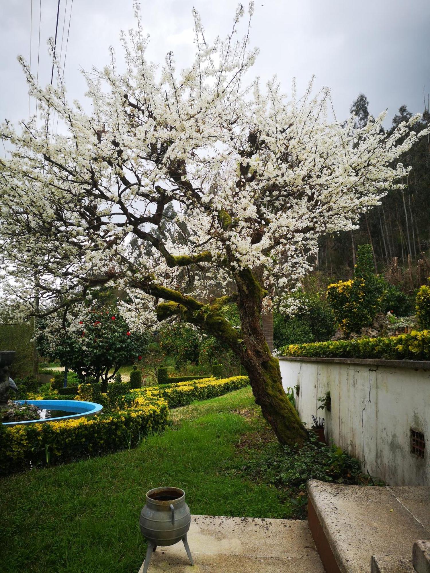 Quinta Das Aguias Aveiro Exteriör bild