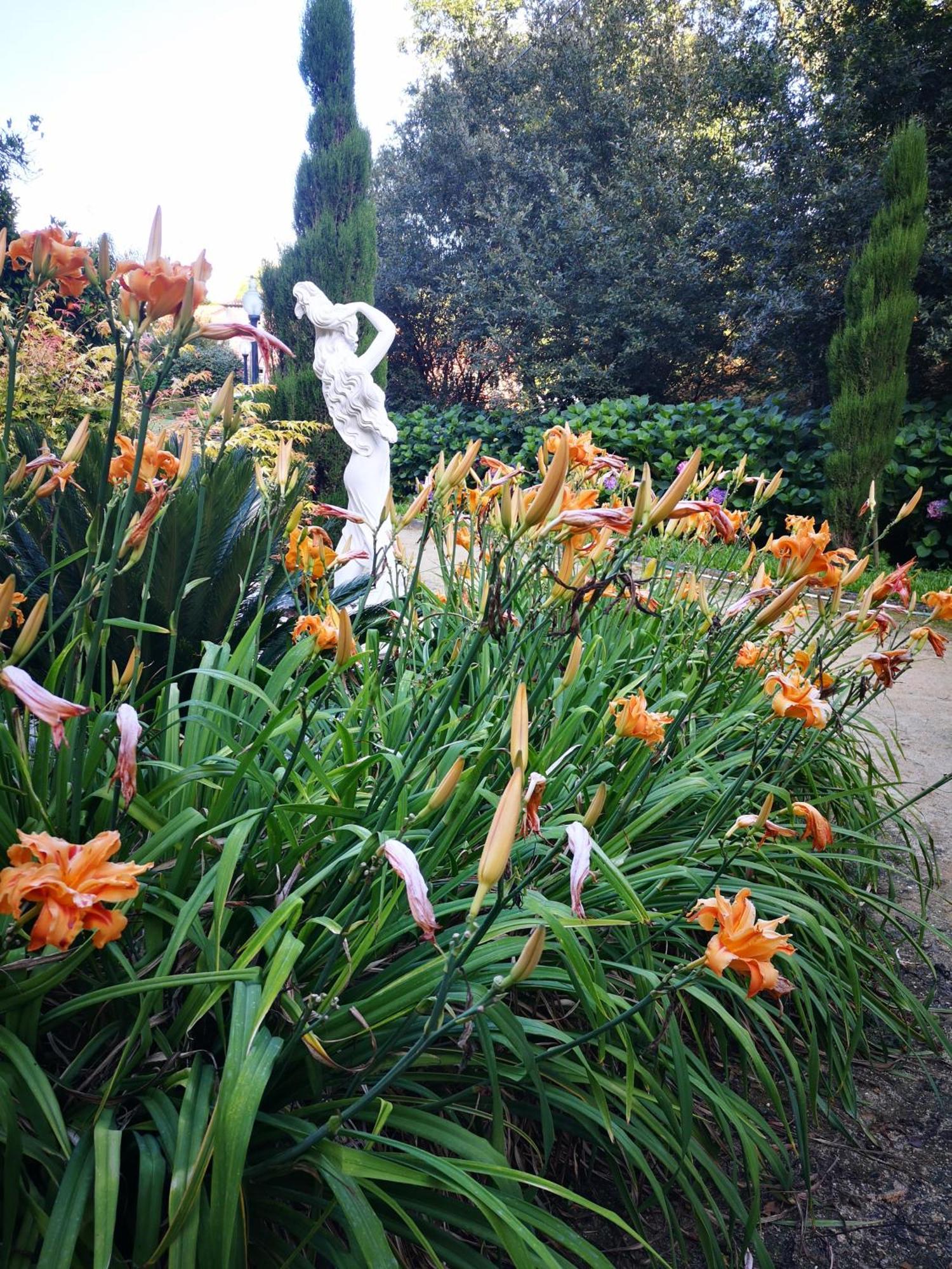 Quinta Das Aguias Aveiro Exteriör bild