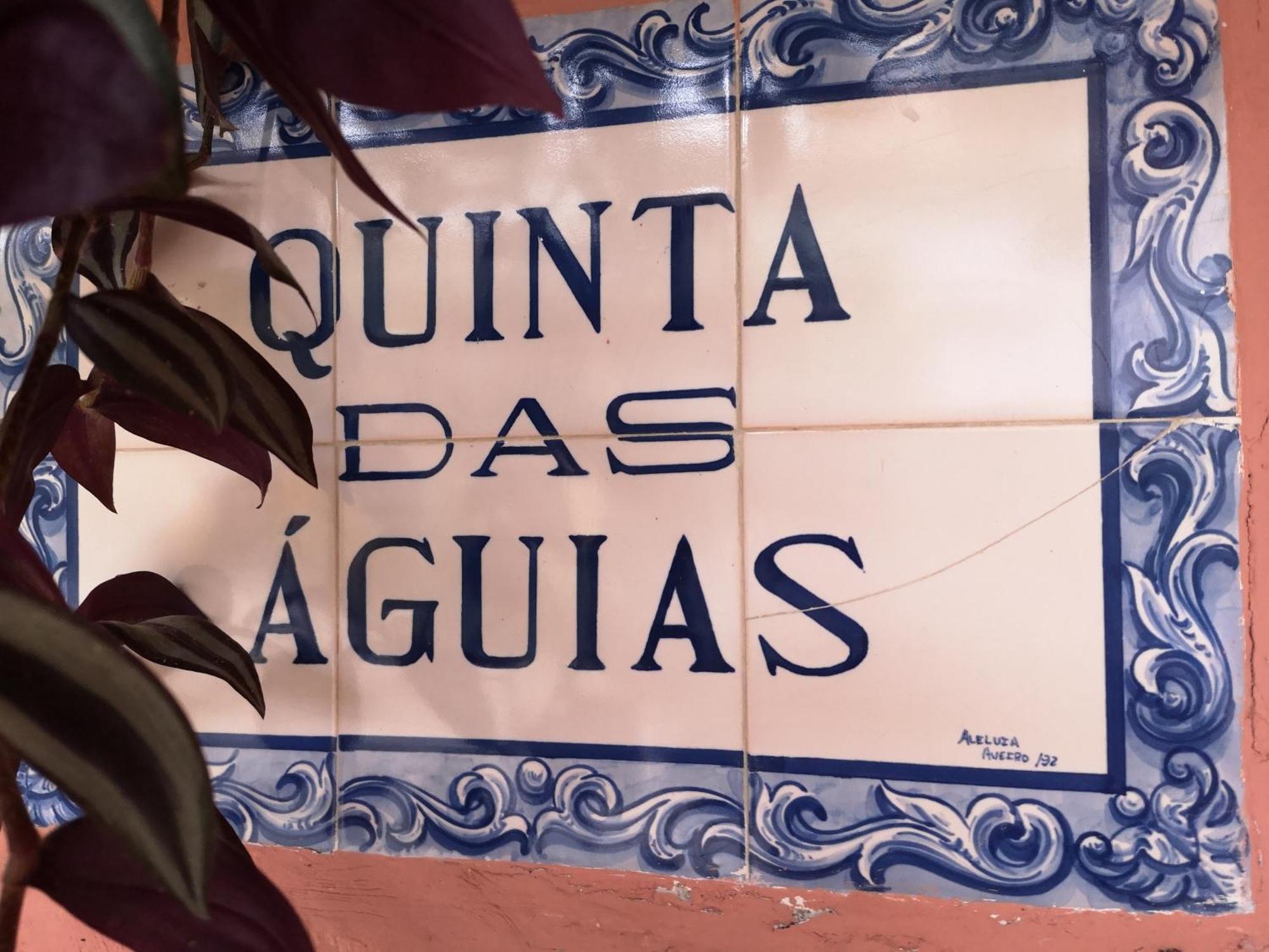 Quinta Das Aguias Aveiro Exteriör bild