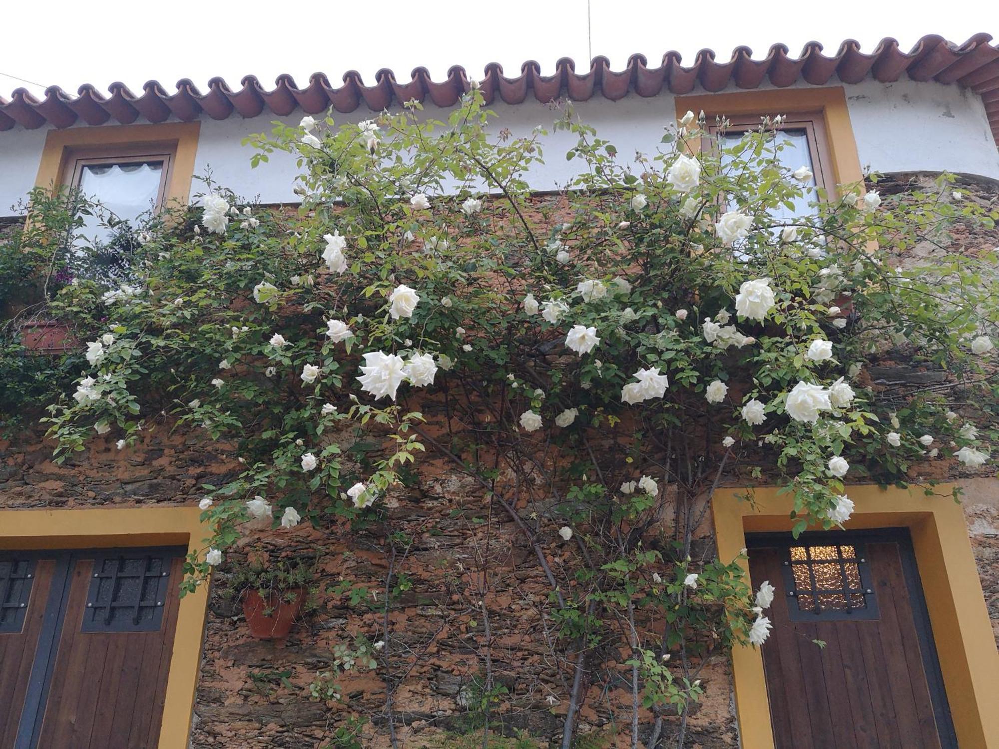 Quinta Das Aguias Aveiro Exteriör bild
