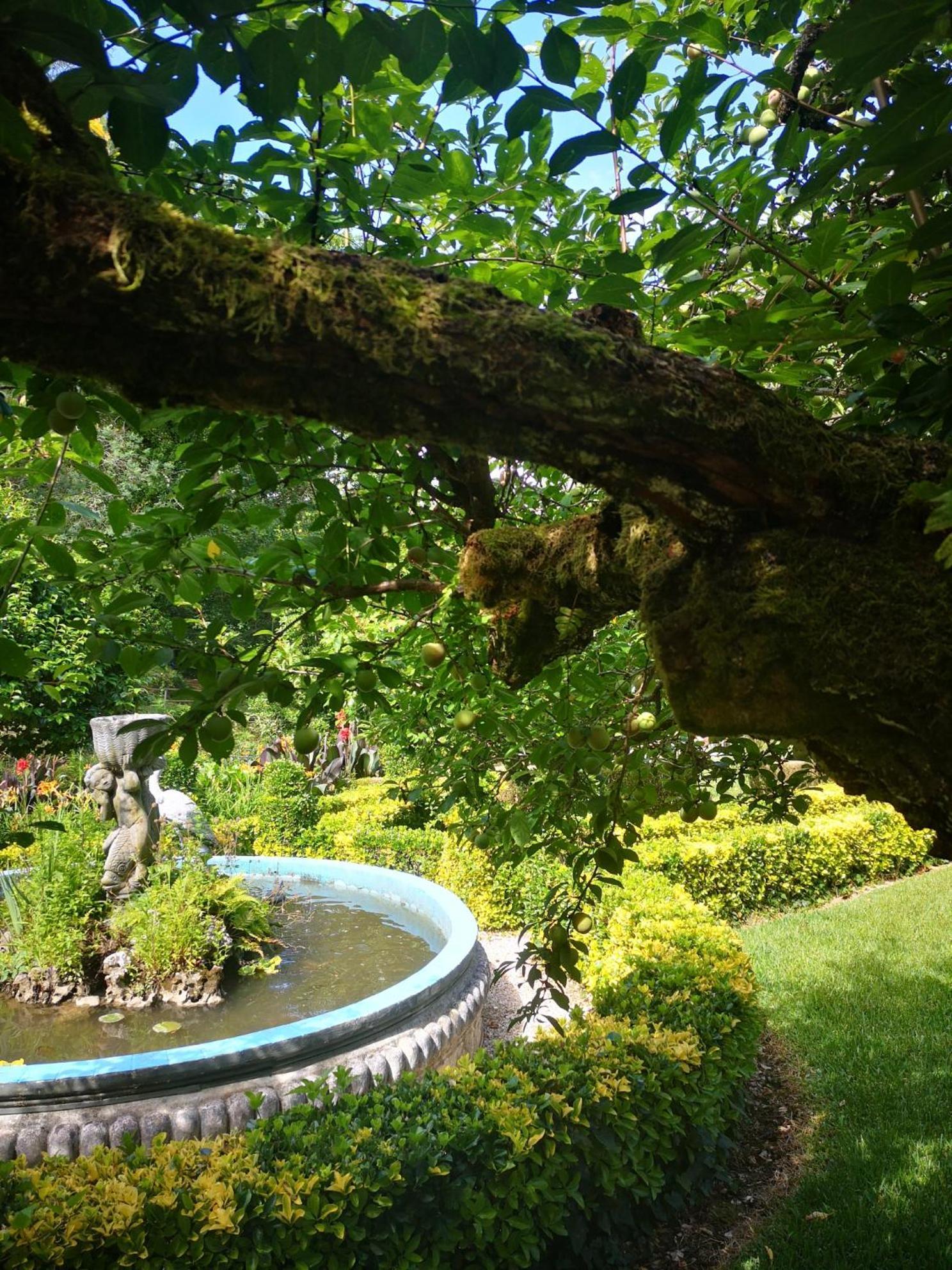 Quinta Das Aguias Aveiro Exteriör bild