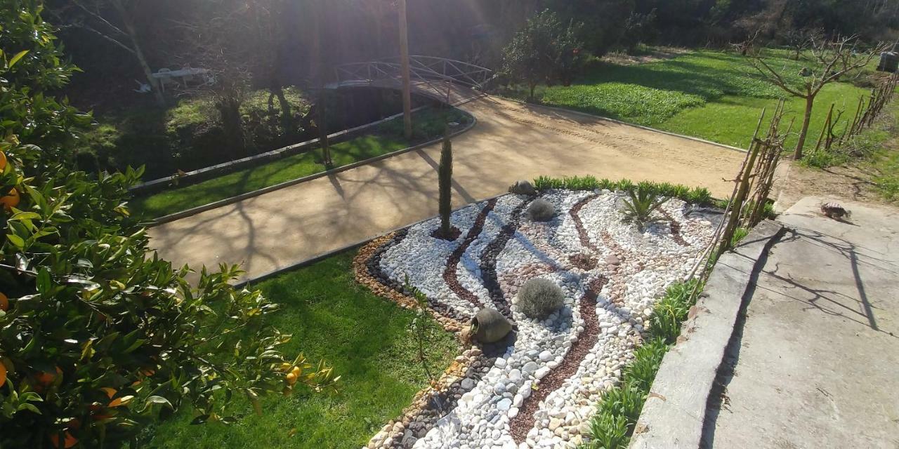 Quinta Das Aguias Aveiro Exteriör bild